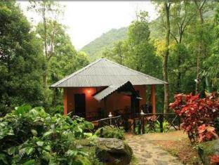 Blue Ginger Wayanad Resorts Bagian luar foto